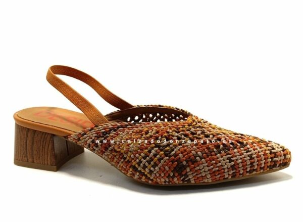 Zapato Desiree PRAGA2  Multicuero